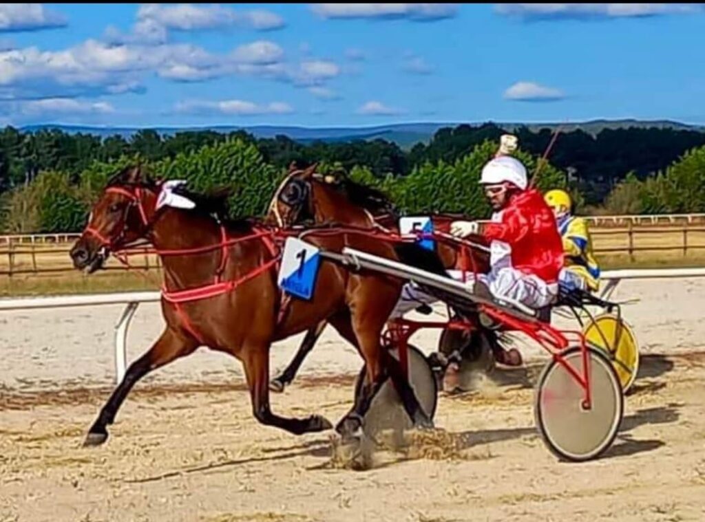 Hipódromo de Antela en Xinzo de Limia, Orense